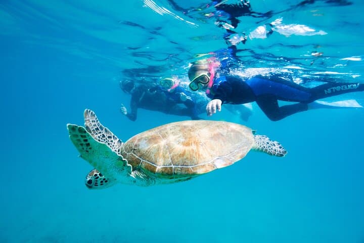 Great Keppel Island: Snorkel the Southern Great Barrier Reef on a Glass-Bottom Combo Cruise photo 4