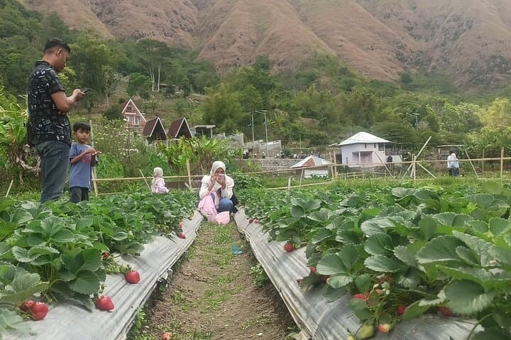 Sembalun Landcruise: Full-Day Rinjani Valley Views and Sasak Culture photo 4