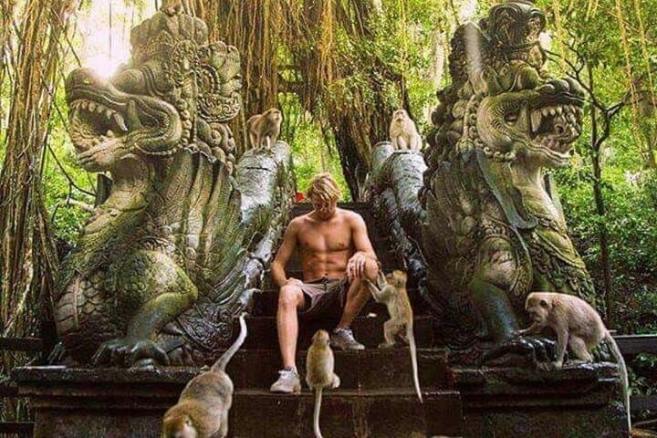 Full-Day Ubud Private Tour: Tirta Empul, Tegalalang Rice Terraces & Monkey Forest photo 4