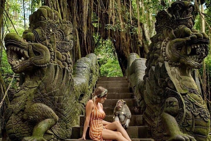 Full-Day Ubud Private Tour: Tirta Empul, Tegalalang Rice Terraces & Monkey Forest photo 2