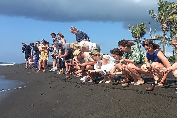 Bali Horse Riding and Turtle Release at Saba Beach — Beach Ride, Conservation & Waterfall Visit photo 2