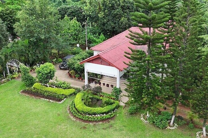 Guwahati Tea Garden Tour: Amchong Estate Guided Walk, Factory Visit & Farm Lunch