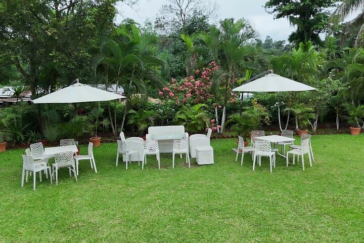 Guwahati Tea Garden Tour: Amchong Estate Guided Walk, Factory Visit & Farm Lunch photo 5
