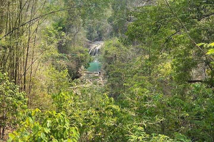 Hidden Lamphun: Private Day Tour to Kruba Srivichai’s Skywalk and Unseen Waterfalls photo 2