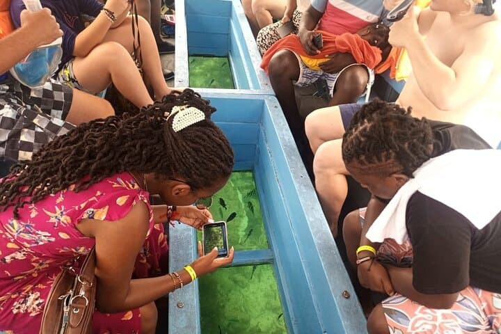 Diani Beach Glass-Bottom Boat Ride & Sandbank Experience
