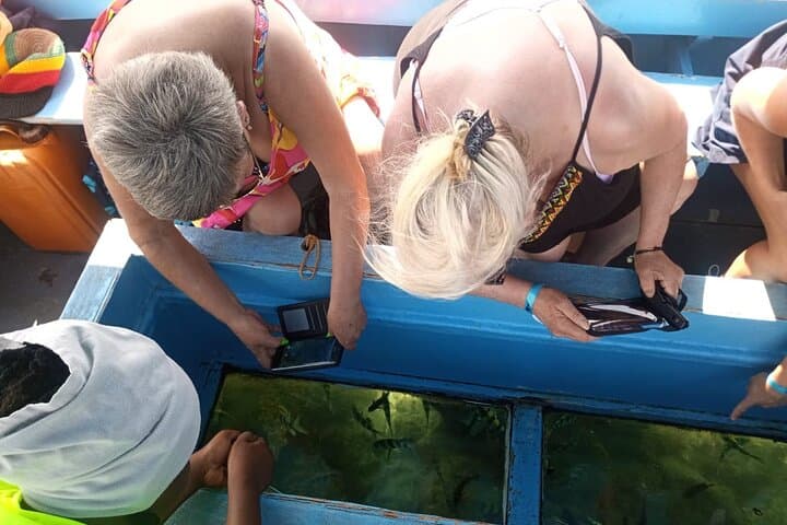 Diani Beach Glass-Bottom Boat Ride & Sandbank Experience photo 4