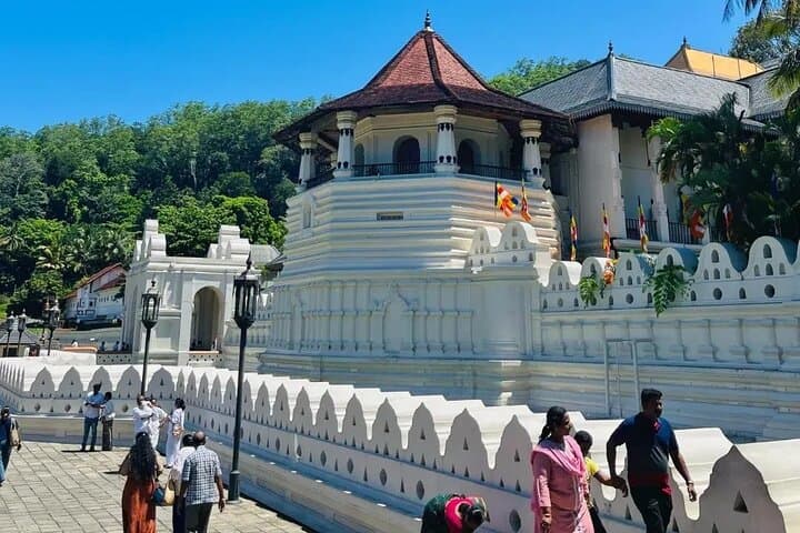 3-Day Private Sri Lanka Tour: Sigiriya, Kandy & Nuwara Eliya with Chauffeur photo 2