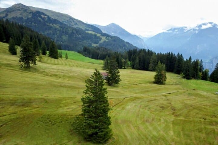 Hasliberg Monster Trotti Scooter Ride — Private Downhill from Rabbit Mountain photo 2