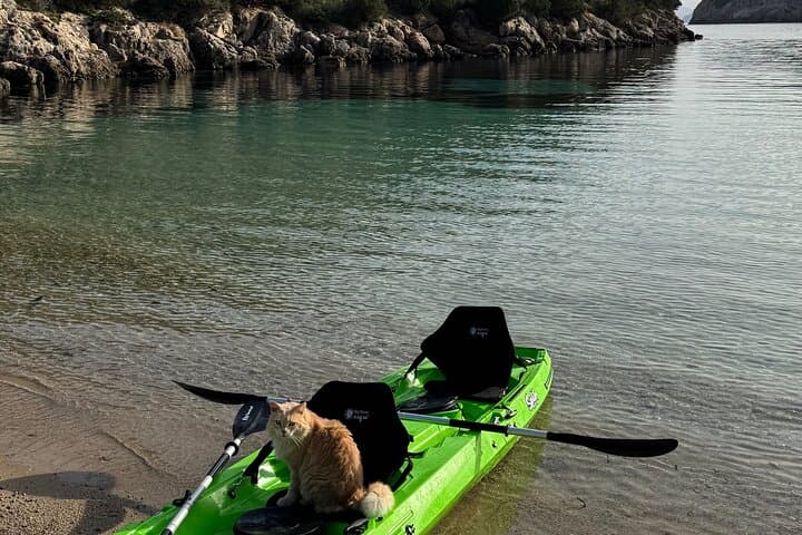 Kayak Delivery to Olbia Beaches: Explore Cala Moresca, Porto Istana & Isola Piana photo 2