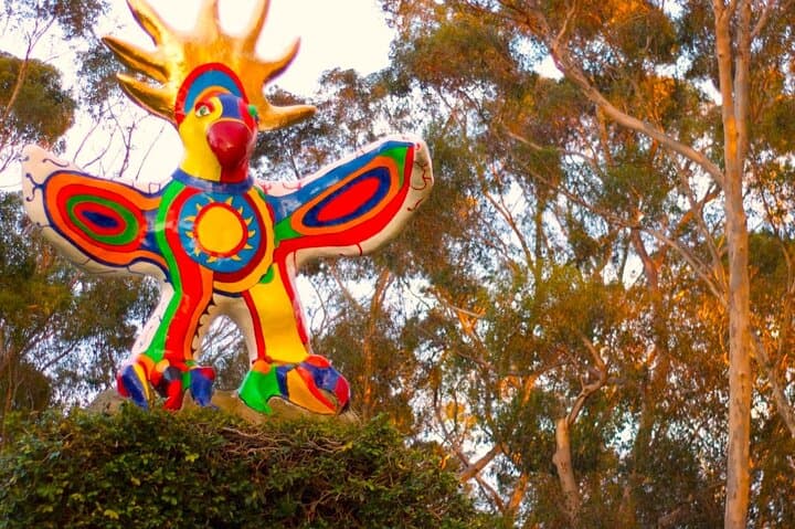 Explore UCSD: Self-Guided Audio Walking Tour of La Jolla Campus photo 3