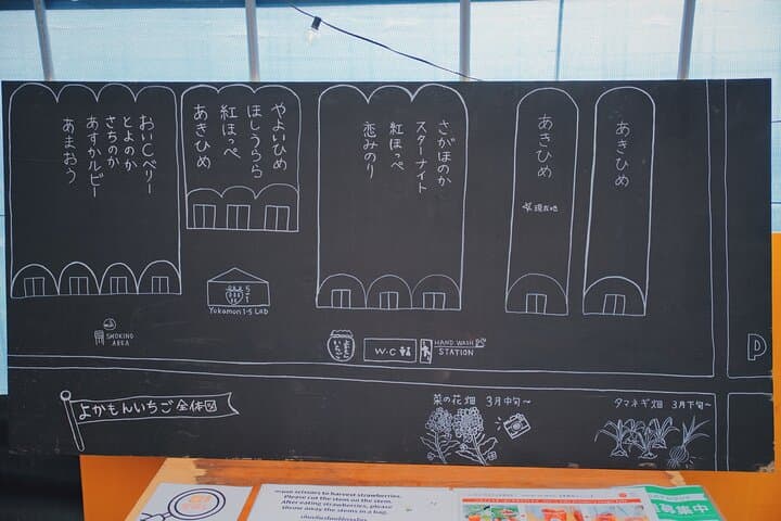 Fukuoka Strawberry Picking & Sakura Dyeing Day Trip from Hakata Station photo 6