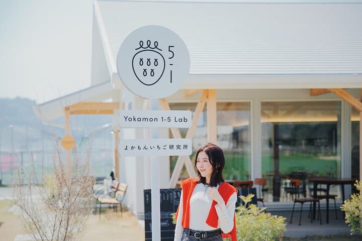 Fukuoka Strawberry Picking & Sakura Dyeing Day Trip from Hakata Station photo 5