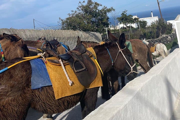 Discover Santorini: A Morning Escape to Island Beauty photo 4
