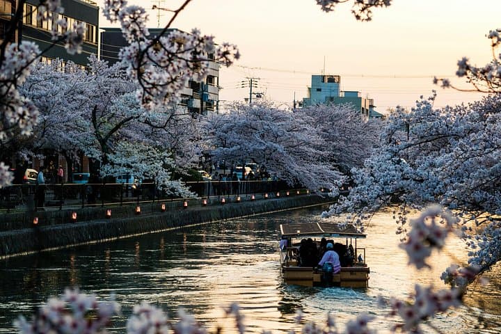 Private Kyoto Day Tour: Customizable Car Tour with English-Speaking Driver photo 3