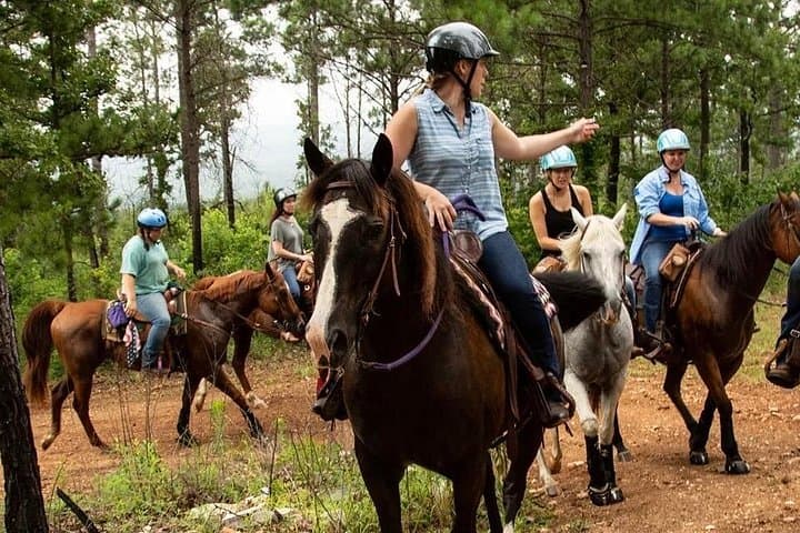 Atlas Mountain Horseback Ride from Marrakech: Berber Villages & Argan Cooperatives photo 1