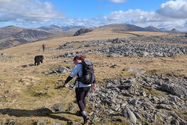 Nantlle Ridge Guided Hike from Rhyd Ddu: Rugged Ridge Walk in Snowdonia photo 4