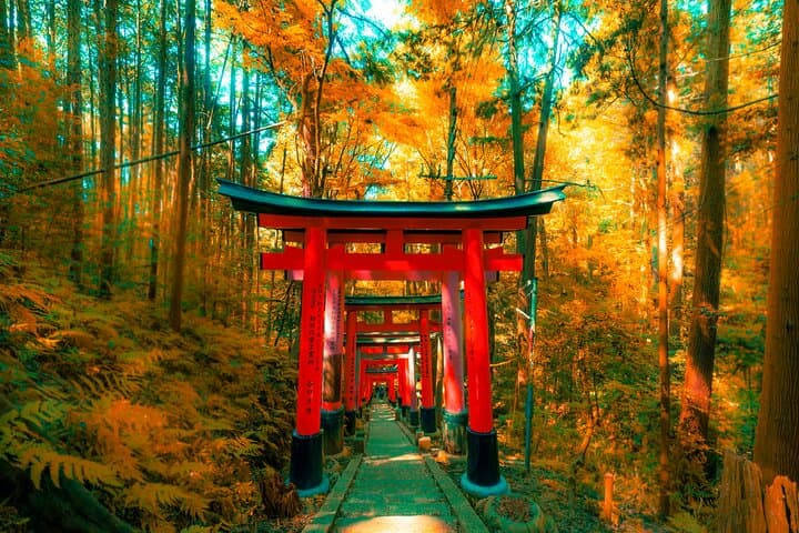 Private Kyoto and Nara Day Tour with English Driver — Fushimi Inari, Todaiji & Arashiyama photo 4