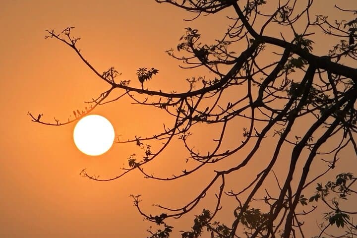 Chitwan Jungle Safari: 3-Day All-Inclusive Wildlife Tour from Kathmandu photo 2