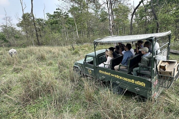Chitwan Jungle Safari: 3-Day All-Inclusive Wildlife Tour from Kathmandu photo 5
