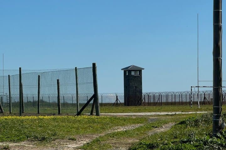 Robben Island Half-Day Tour: Ferry, Prison, and Penguin Encounters from Cape Town photo 3
