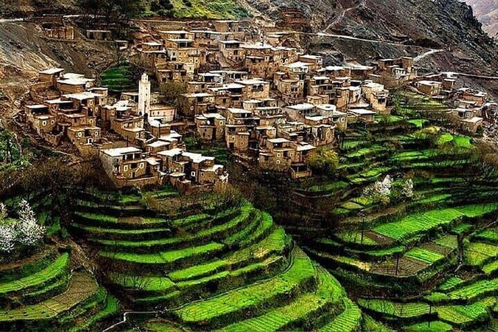 Atlas Mountains Guided Tour and Berber Village Experience from Marrakesh photo 5