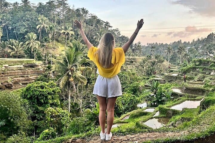 Ubud Day Tour: Rice Terraces, Tirta Empul & Hidden Waterfall Adventure photo 6