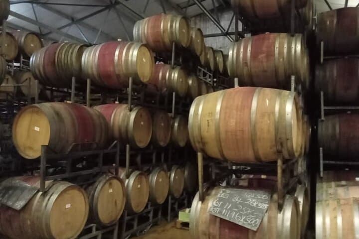 Cheetah Outreach & Winelands Full-Day Tour from Cape Town photo 2