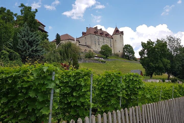 Gruyères Castle Cheese and Chocolate Luxury Private Tour from Zurich photo 2