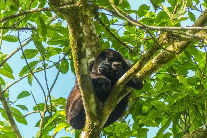 Pacoche Rainforest Hiking Tour from Manta — Private Guided Walk to Pacoche Reserve photo 4