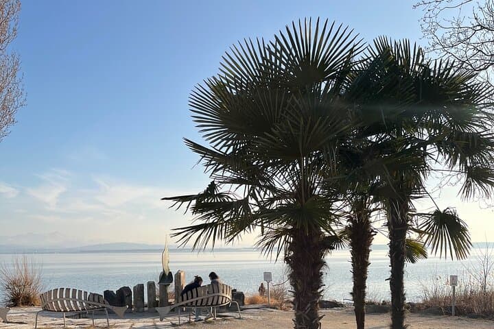 Drive Four Countries Around Lake Constance: Private Day Tour from Basel photo 6