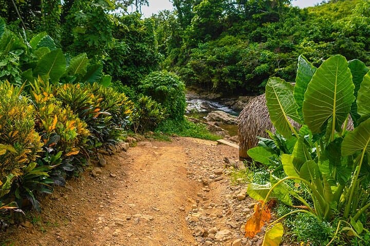 La Hacienda Park Adventure: Zipline, Buggies & Dominican Safari in Punta Cana