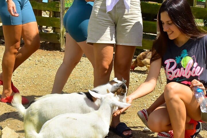La Hacienda Park Adventure: Zipline, Buggies & Dominican Safari in Punta Cana photo 4