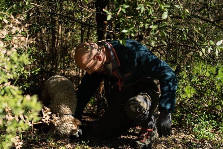 Truffle Hunting and Cooking Class in Rome's Countryside photo 6