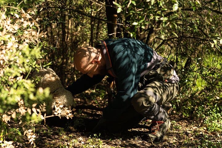 Truffle Hunting and Gourmet Lunch in Rome's Countryside photo 4