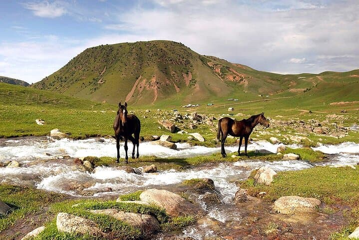 Ala Archa and Chunkurchak: Full-Day Mountain Escape from Bishkek photo 5