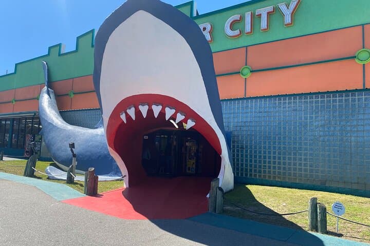 Gulf Shores Beach Splash & Dash: Self-Guided Scavenger Hunt on Alabama’s Coast photo 4