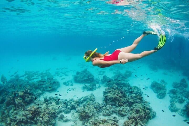 Snorkel Cancun's Underwater Museum and Turtle Habitat photo 5