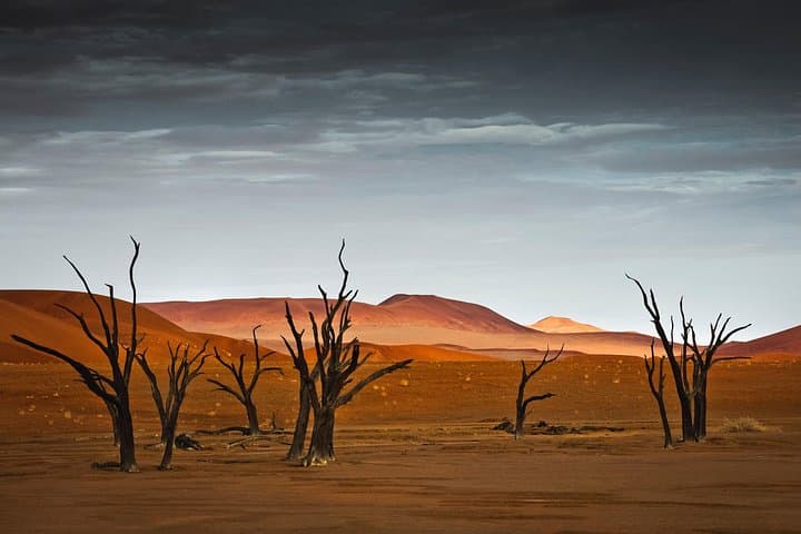 3-Day Sossusvlei & Namib Desert Adventure — Dune Climbs, Deadvlei and Starry Nights photo 2