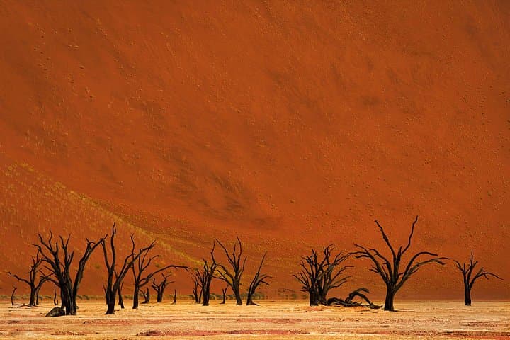 3-Day Sossusvlei & Namib Desert Adventure — Dune Climbs, Deadvlei and Starry Nights photo 3