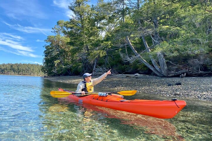 Guided Kayak Tour to Hope Island State Park — South Puget Sound Sea Kayaking from Olympia photo 3