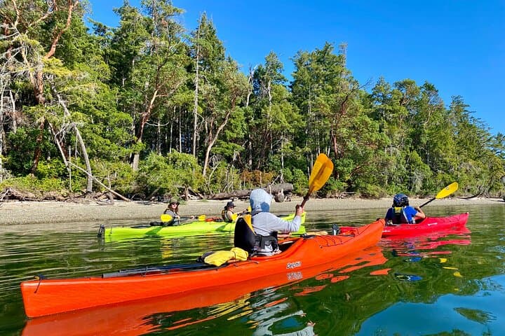 Guided Kayak Tour to Hope Island State Park — South Puget Sound Sea Kayaking from Olympia photo 5