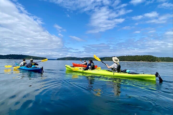 Guided Kayak Tour to Hope Island State Park — South Puget Sound Sea Kayaking from Olympia