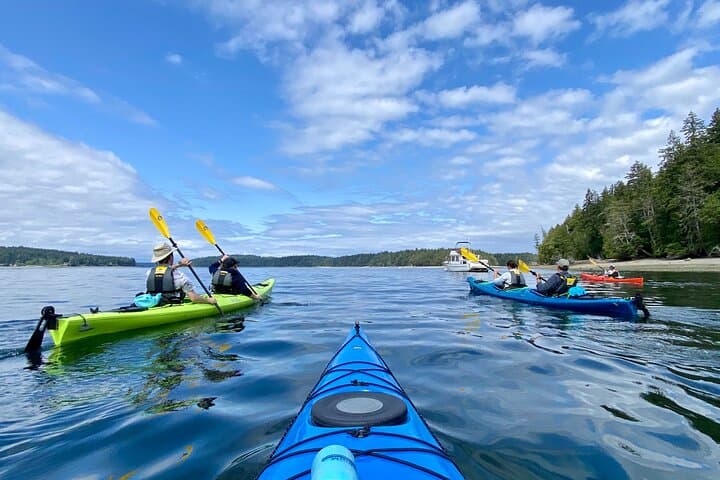 Guided Kayak Tour to Hope Island State Park — South Puget Sound Sea Kayaking from Olympia photo 2