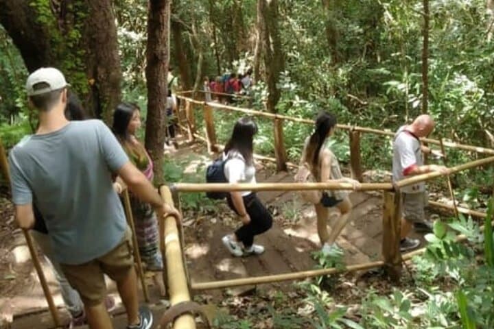Doi Inthanon Day Hike: Pha Dok Siew Waterfall & Twin Pagodas from Chiang Mai photo 3