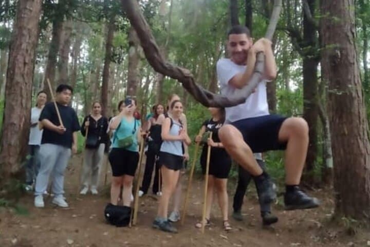 Doi Inthanon Day Hike: Pha Dok Siew Waterfall & Twin Pagodas from Chiang Mai photo 2