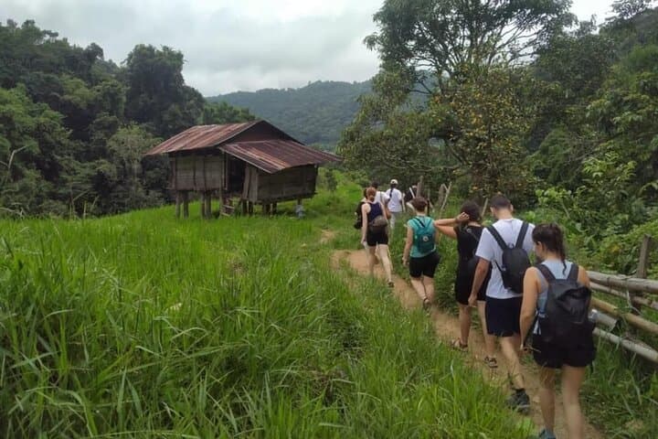 Doi Inthanon Day Hike: Pha Dok Siew Waterfall & Twin Pagodas from Chiang Mai photo 6