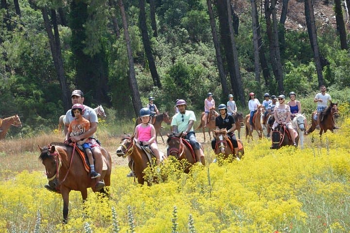Forest Horse Riding Experience Near Marmaris — Guided Countryside Trail with Hotel Transfer photo 1