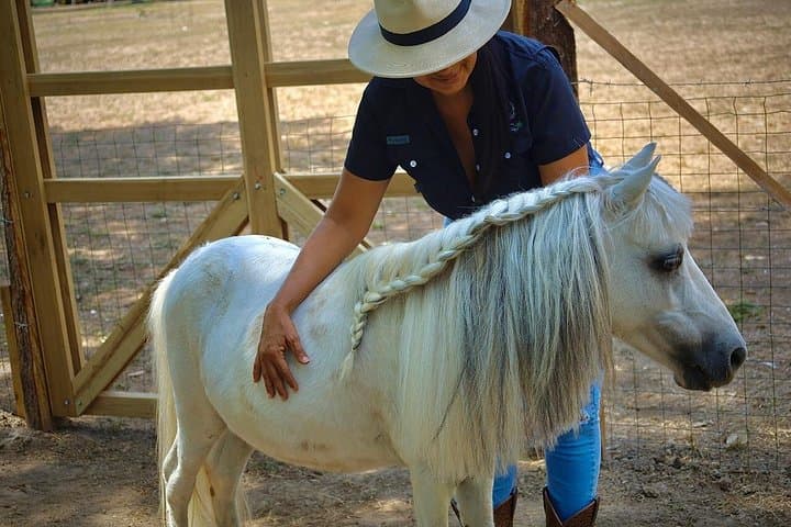 Horseback Riding Lessons at Finca Don Tricia — Learn to Ride in Guanacaste photo 4