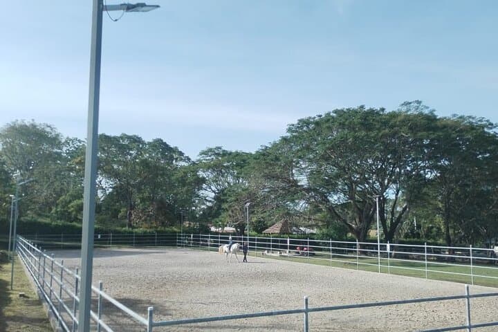 Guanacaste Cowboy Experience: Beginner Equestrian Classes in Costa Rica