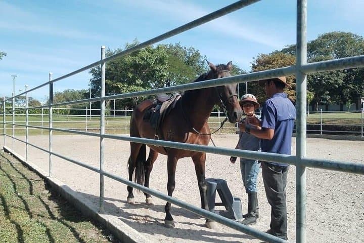 Guanacaste Cowboy Experience: Beginner Equestrian Classes in Costa Rica photo 3